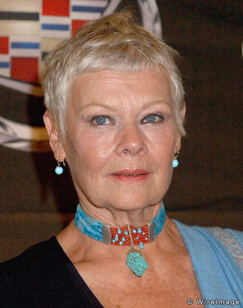 JUDI DENCH and why actor autobiographies are better than political ...
